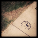 dudelikesdick avatar