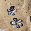 dueseaworthiness avatar