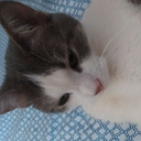 duffstuff19op avatar