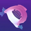 duke-platypus avatar