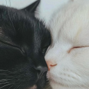 dulceamanhecer avatar