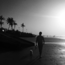 dulcesdeleches avatar