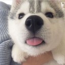 dulceveneno420 avatar