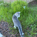 dulche-and-me avatar