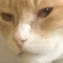 dull-and-duller avatar