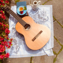 dumb-bi-fangirl avatar