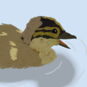 dumbass-ducks avatar