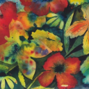 dumbbell-bella avatar