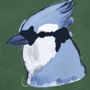 dumbbluejay avatar