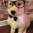 dumbbrokechoices avatar