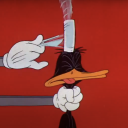 dumdumdiapers avatar