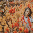 dumparchivesblog avatar