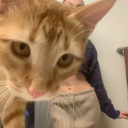 dumplingm0nster444 avatar