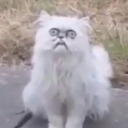 dumpster-devil avatar