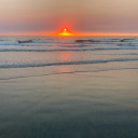 dumpsterthoughts avatar