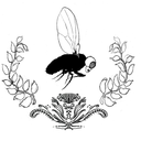 duncandrawsblog avatar