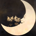 dungeon-crawler-cunt avatar