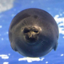 dungeonmaster36 avatar