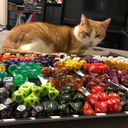 dungeons-and-dannytron avatar