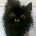 dungeonsanddilemmas avatar