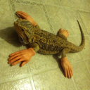 dunk-on-em-ao3 avatar