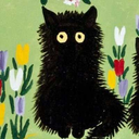 dunyaninbirucunda avatar