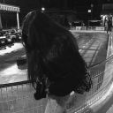 dunyaninenguzeluykusu avatar