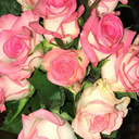 durchgeschlafen avatar