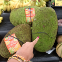 durianfucker69 avatar