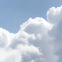 dusitdkyxydkd avatar