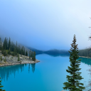 duskcourtqueen avatar