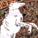 duskstarskies avatar