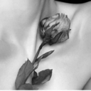 dusktilldawn19 avatar