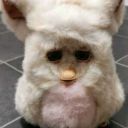 dusky-reblogs avatar