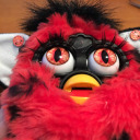 dust-furby avatar