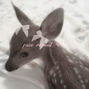 dustbxnny1224 avatar