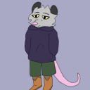 dusty-opossum avatar