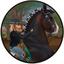 dustymisgestaltsso avatar