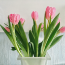 dusundugumhaldeyokum avatar