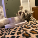 dusundumamabulamadim avatar