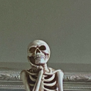 dusunenkelebek avatar