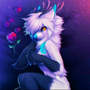 dutch-boy-2016 avatar