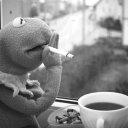 dutchguymike1983 avatar