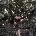 duydugumagore avatar