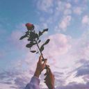 duygusal-bir-panda avatar