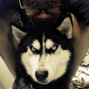 dvdsonjourney avatar