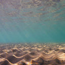 dvrius-trvllr avatar