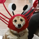 dweeby-posser avatar