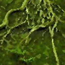 dwellerinroots avatar