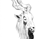 dxxthfxnkk-blog avatar